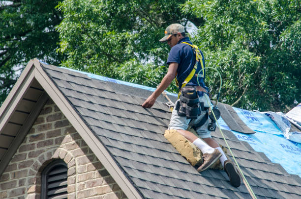 Best Emergency Roof Repair  in Gibson, AR